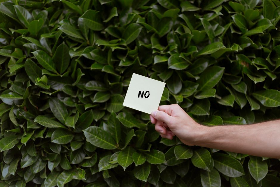 A person's hand holding a small white sticky note with the word 'NO' written in black ink, positioned in front of a dense, neatly trimmed hedge composed of glossy, dark green leaves. The hedge forms a thick, uniform background, and the person's arm extends from the right side of the image, suggesting they are in the process of gardening or garden maintenance. The scene is well-lit with natural outdoor lighting, emphasizing the vibrant texture of the hedge's foliage and the contrast between the white note and the greenery. This setting reflects elements of garden care, such as hedge trimming or plant management, associated with professional gardening services by Gardeners Barnet, especially in the context of avoiding unnecessary charges related to landscaping work.