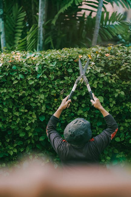 A person's hand holding a small white sticky note with the word 'NO' written in black ink, positioned in front of a dense, neatly trimmed hedge composed of glossy, dark green leaves. The hedge forms a thick, uniform background, and the person's arm extends from the right side of the image, suggesting they are in the process of gardening or garden maintenance. The scene is well-lit with natural outdoor lighting, emphasizing the vibrant texture of the hedge's foliage and the contrast between the white note and the greenery. This setting reflects elements of garden care, such as hedge trimming or plant management, associated with professional gardening services by Gardeners Barnet, especially in the context of avoiding unnecessary charges related to landscaping work.